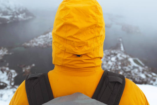 The Shield – Immune Factors